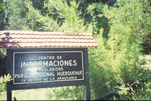 0187 NP Huerquhue.jpg